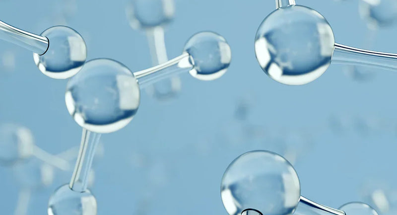 Collagène, élastine et matrice extracellulaire : préserver la densité de la peau