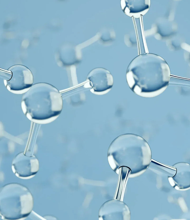 Collagène, élastine et matrice extracellulaire : préserver la densité de la peau