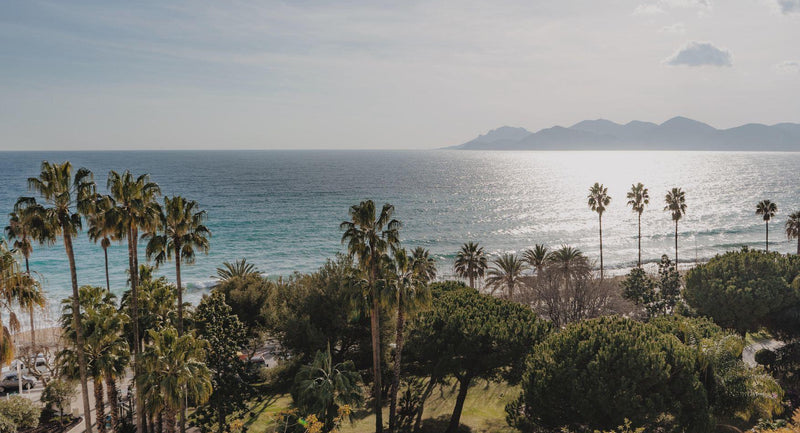 Alaena à la carte de la Villa Belle Plage, l'hôtel & spa Art Déco de la French Riviera