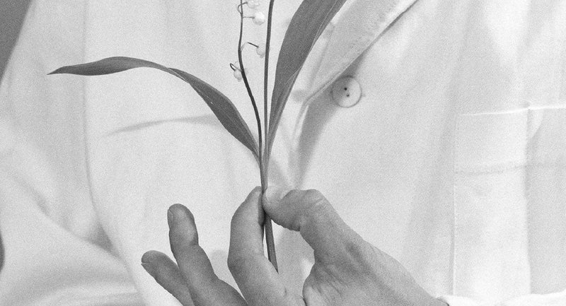 Perturbateurs endocriniens : votre routine est-elle sûre ?