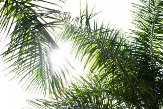 Cosmétique naturelle et cosmétique bio, comment s'y retrouver ?
