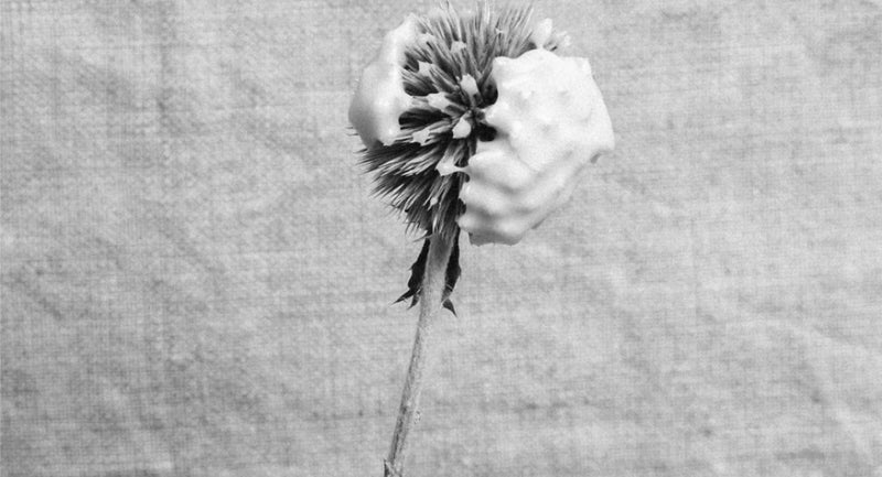 Notre sélection Slow Living #Semaine 2